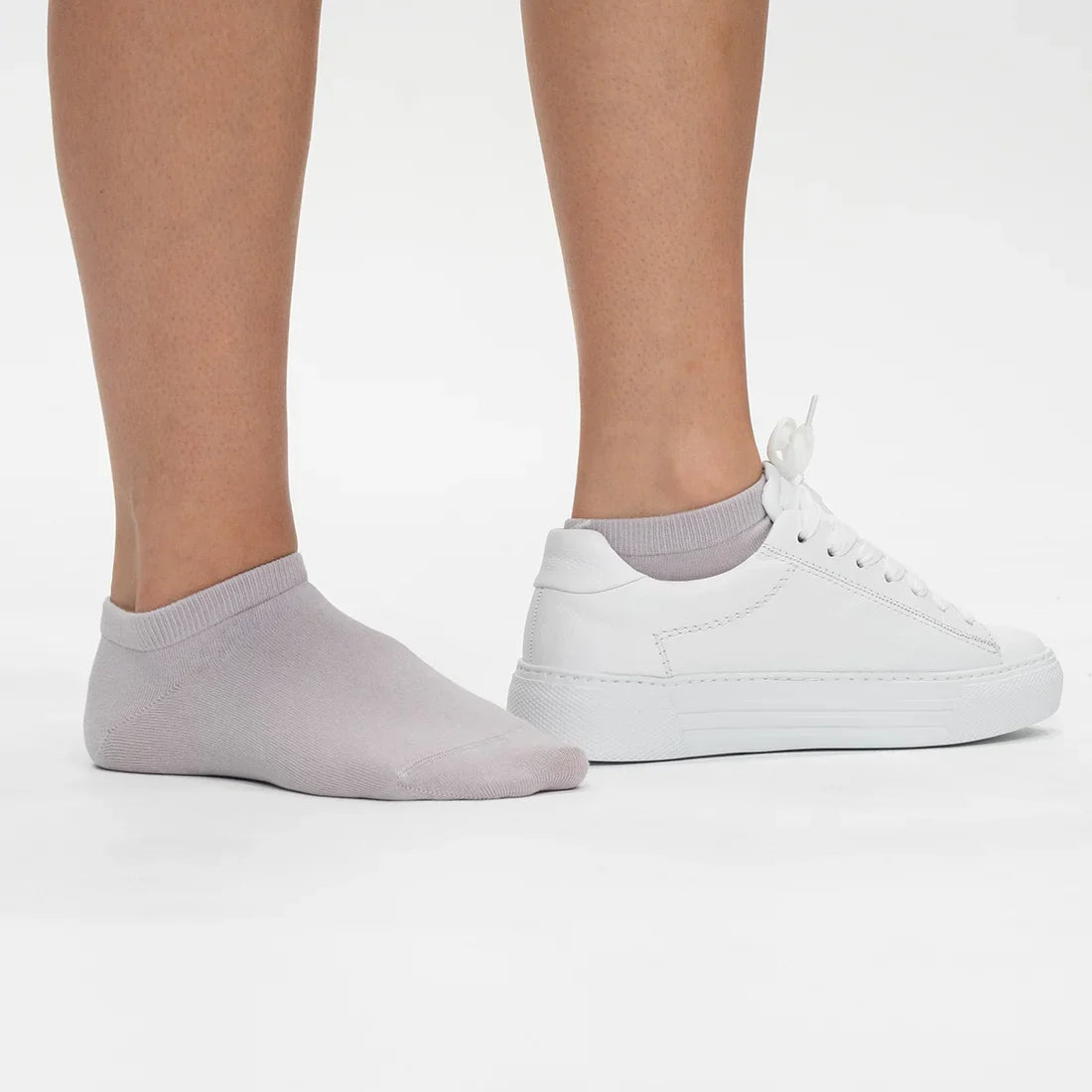 De complete Zomer bundel