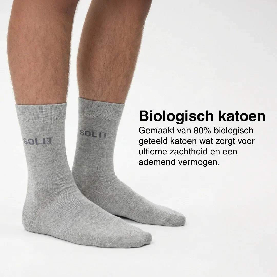 De dagelijkse sokken bundel