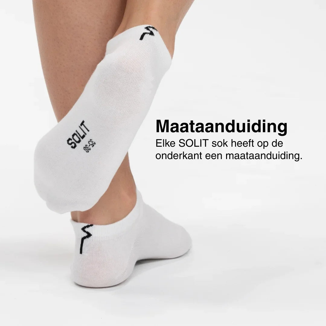 De complete Zomer bundel